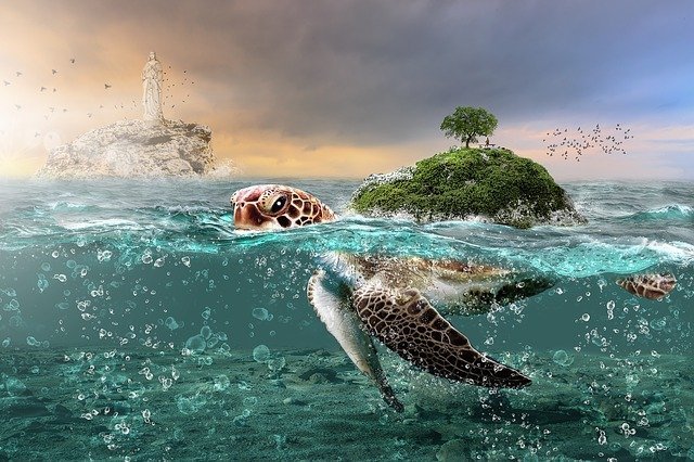 Mohou obří vodní želvy existovat ještě dnes? ZDROJ: mysteriousuniverse.com