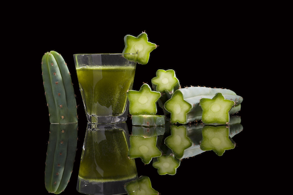 Je libo magický kaktusový nápoj? Foto: revelaretreats.com