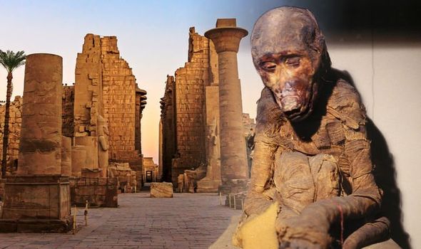Dají právě mumie paviánů odpověď na otázku, kde se nacházela bájná země Punt? ZDROJ: mysteriousuniverse.com