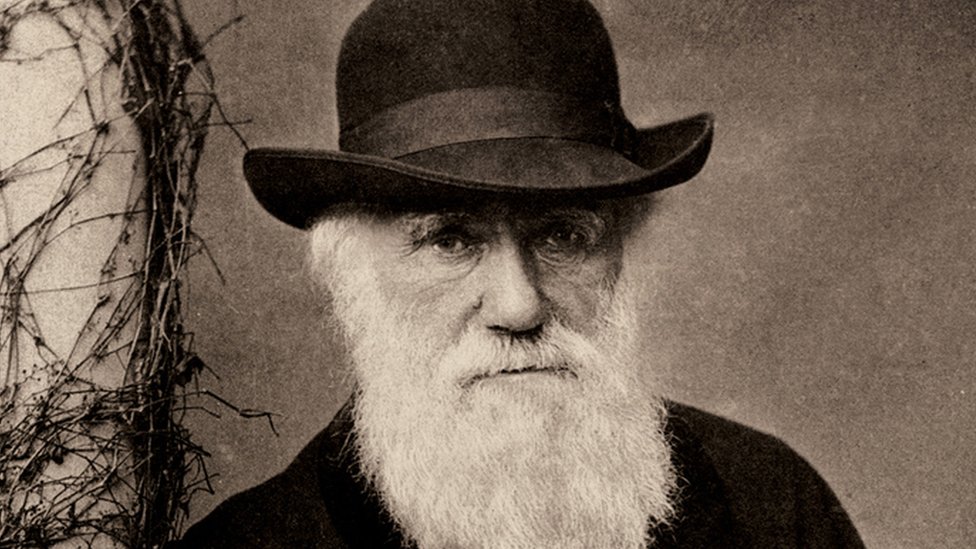 Charles Darwin. Foto: bbc.com