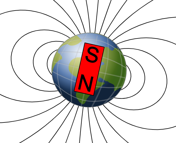 Holubi se orientují podle zemského magnetického pole. Foto: Wikimedia Commons