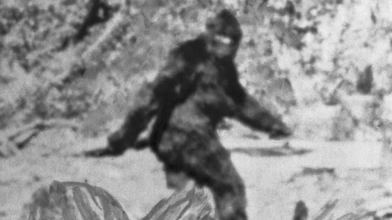 Asi nejznámější z domnělých fotografií Bigfoota. ZDROJ: Wikimedia commons