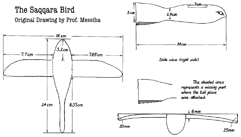 Podle mnoha badatelů jde přinejmenším o velmi zvláštní model ptáka. Foto fly.historicwings.com
