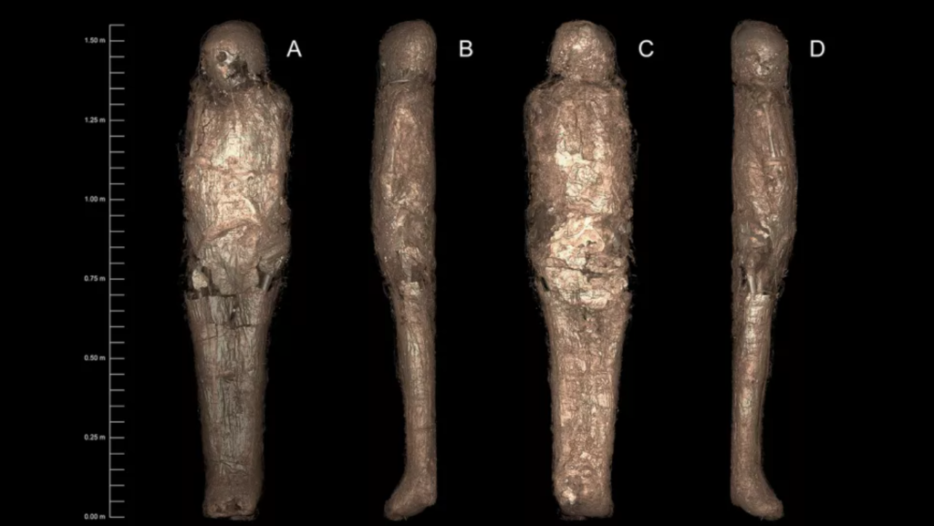 Detailní pohled na záhadnou mumii. 