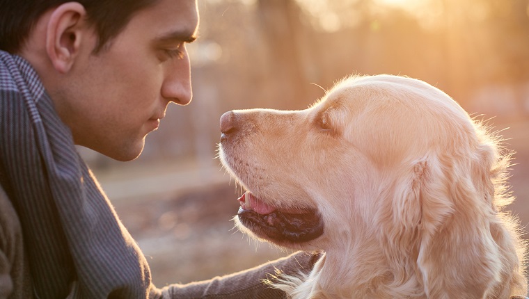 Člověk a pes mezi sebou mají silné pouto. Foto: dogtime.com