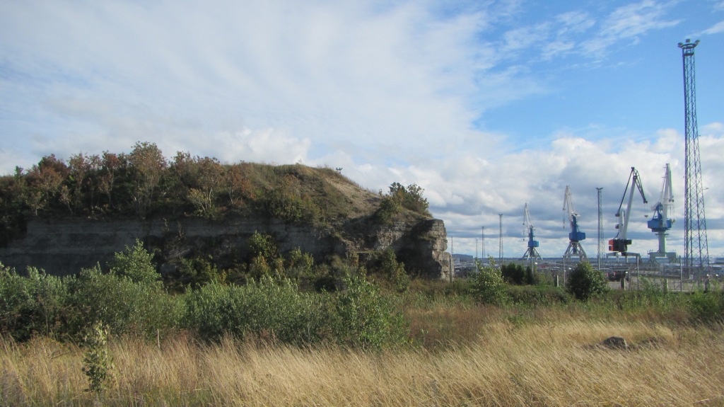 V levé části snímku pozůstatky pevnostního systému Petra Velikého. V pravé části fotografie se pilně činí jeřáby současného  nákladního přístavu.  