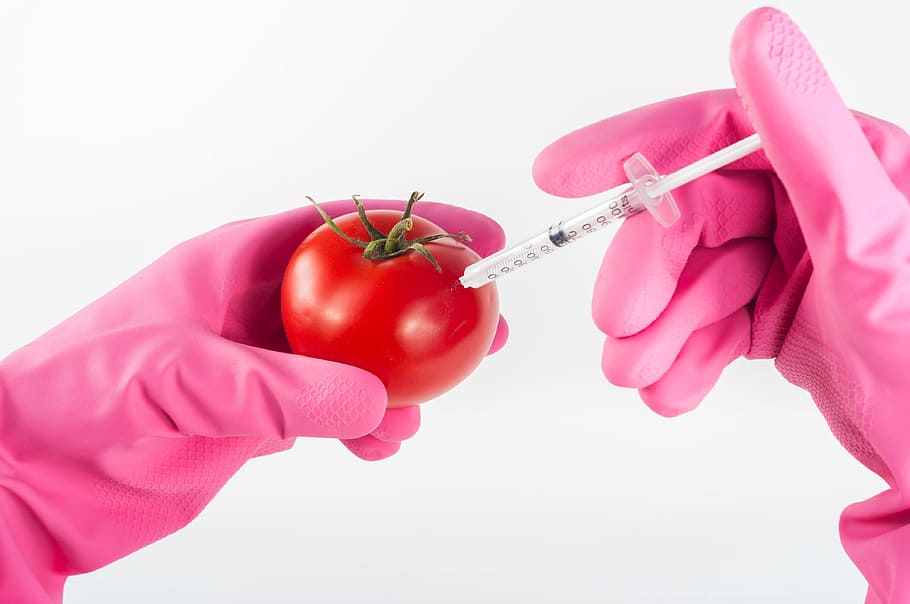 Geneticky modifikovaný hmyz nebo jídlo - pomoc nebo zhouba lidstva? Foto: Pxfuel