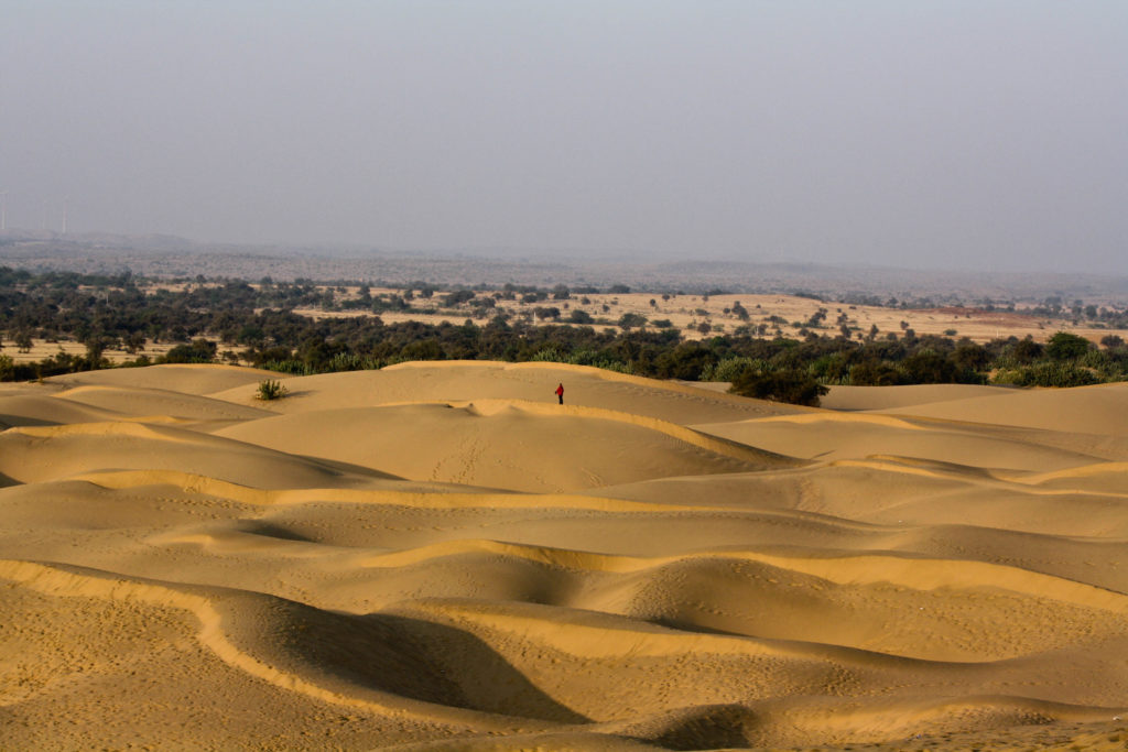 Tharská poušť, foto Sushmita Balasubramani / Creative Commons / CC BY 2.0 