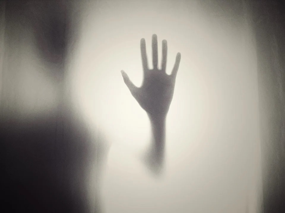 Slyšeli jste už někdy o takzvaných stínových bytostech? Foto: Free-Photos / pixabay