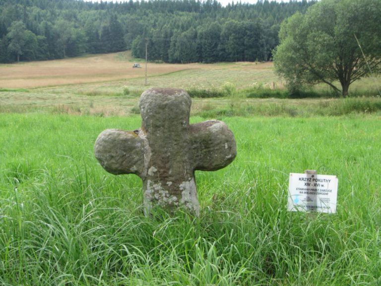 Kamenné kříže najdeme i v Polské republice v polsko – českém pohraničí. Kříž na snímku se nachází relativně blízko od kamenného kříže u České Metuje.