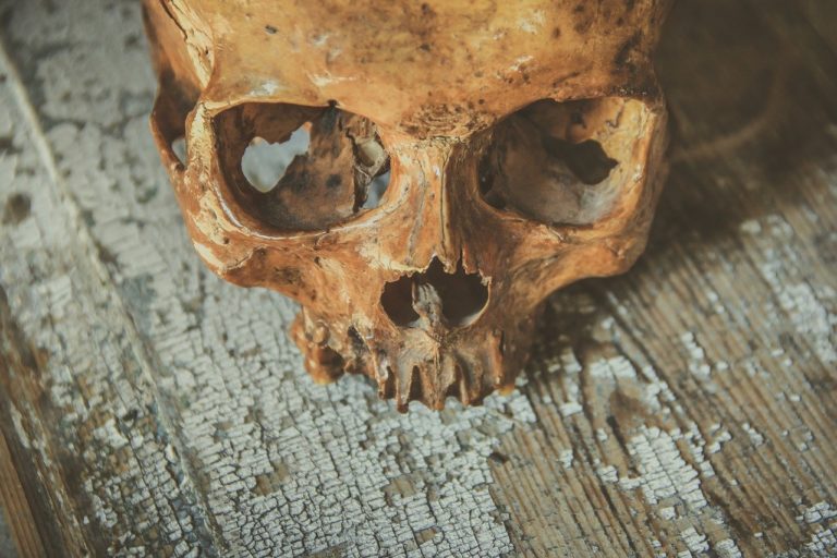 Na pokec s mrtvými člověk musí k sensibilům - nebo si pořídit tabulku ouija. Foto: Pixabay