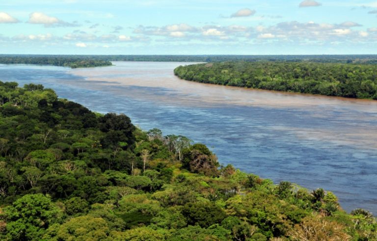 Fawcettova výprava se ztratila v obrovských prostorách Amazonie. Zdroj foto: Neil Palmer/CIAT, CC BY-SA 2.0 , via Wikimedia Commons