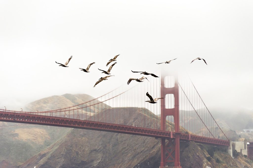Most Golden Gate se stává i mostem na druhou stranu... Foto: Pixabay