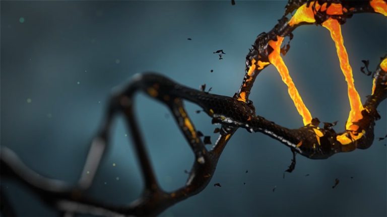 Za jeho svaly je zřejmě zodpovědná genetická mutace, foto Pixabay
