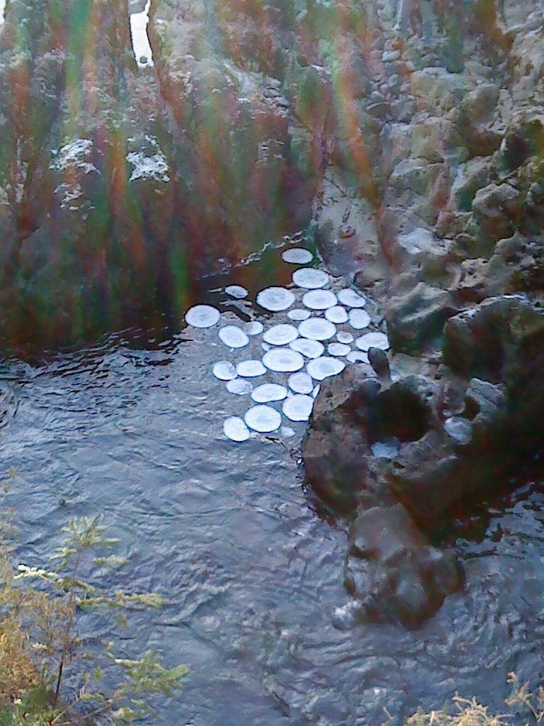 Ledové kruhy na vodě mohou být i docela malé. Zdroj foto: Hogyn Lleol, Public domain, via Wikimedia Commons