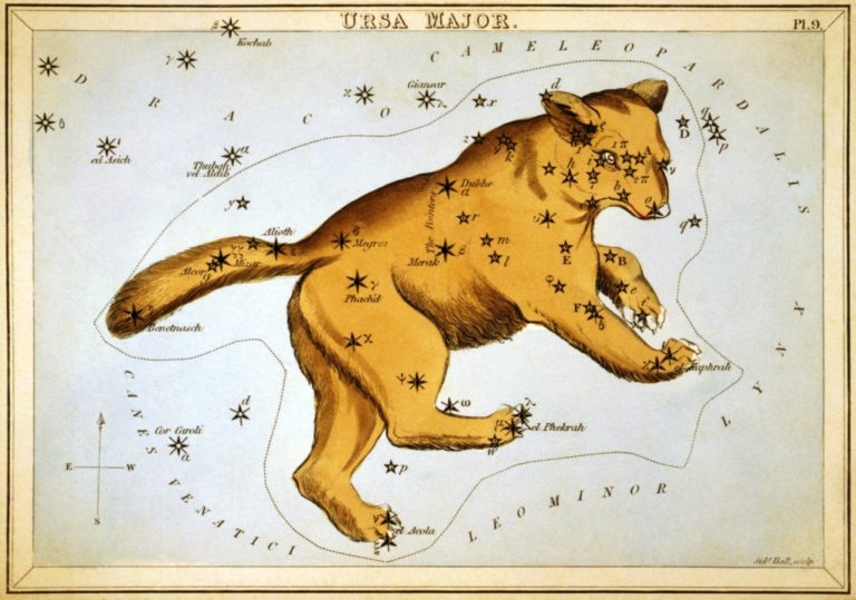 Sláva rumunských medvědů hvězd se dotýkala... Zdroj obrázku: Sidney Hall, Public domain, via Wikimedia Commons