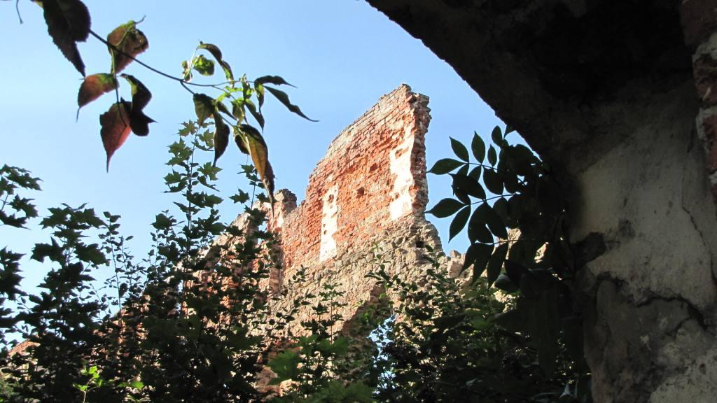 Ruiny zámku si podmaňuje okolní vegetace. 
