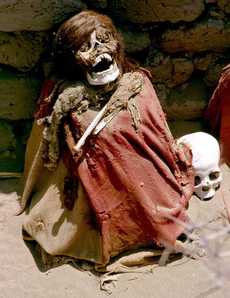 Mumie v pohřebišti Chauchilla. FOTO: Nazca-chauchilla-c06 / Creative Commons / CC BY-SA 2.5 es