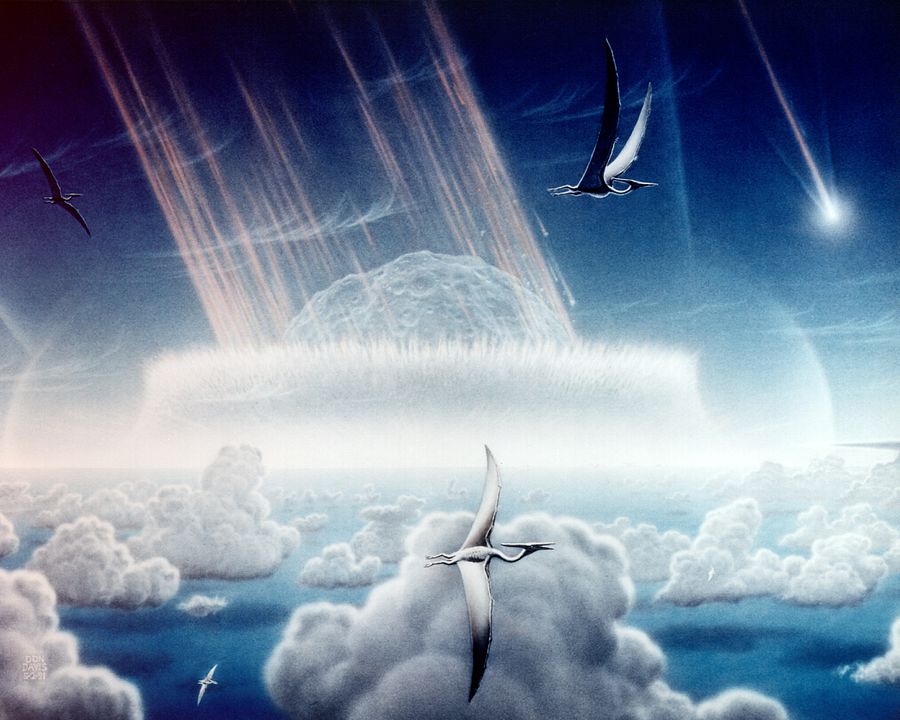 Kdyby asteroid před 66 miliony let dopadl jen o 30 vteřin později, dinosauři by žili - ale lidé ne. Foto: Donald E. Davis / Creative Commons / volné dílo