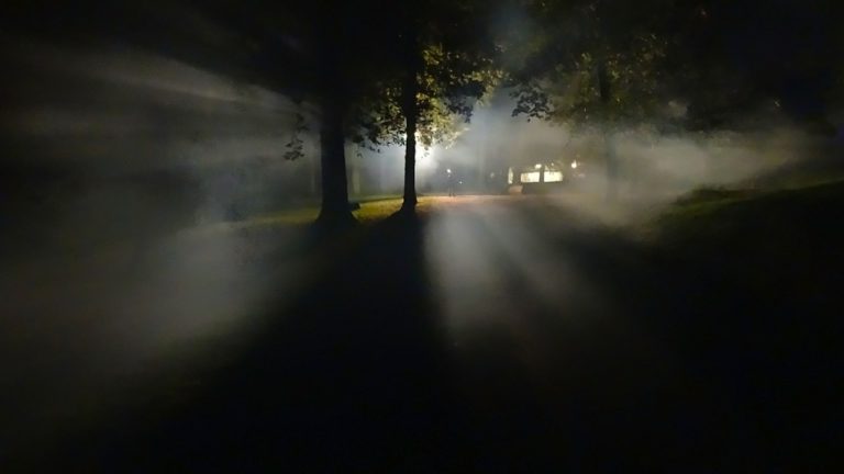 Napřed se mezi stromy objevilo podivné světlo, foto Pixabay