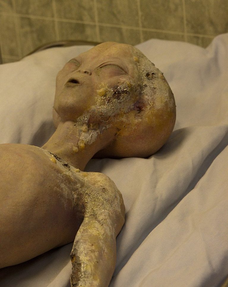 Tělo mimozemšťana z Roswellského muzea, foto Frank Pierson / Creative Commons / CC BY 2.0