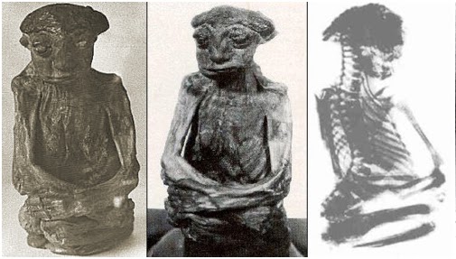 Mumie ze San Pedra na oficiálních snímcích. FOTO: Neznámý autor / Creative Commons / volné dílo
