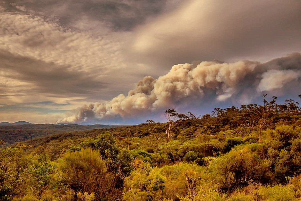 Austrálii pravidelně postihují rozsáhlé lesní požáry. Zdroj foto: Meganesia, CC BY-SA 4.0 , via Wikimedia Commons
 
