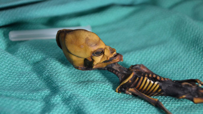 Mumie je některými považována za potomka mimozešťanů, foto Genome Research – Emery Smith / Creative Commons / CC BY-NC 4.0