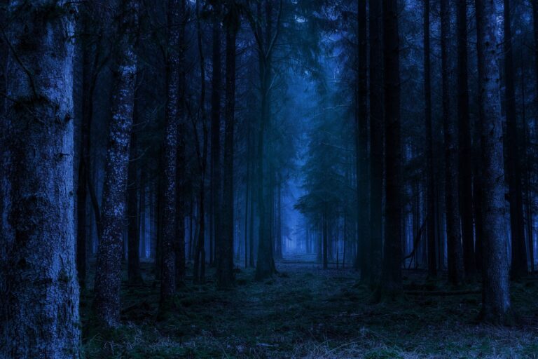 Podle místních je v noci nebezpečné chodit po okolí. FOTO: Pixabay