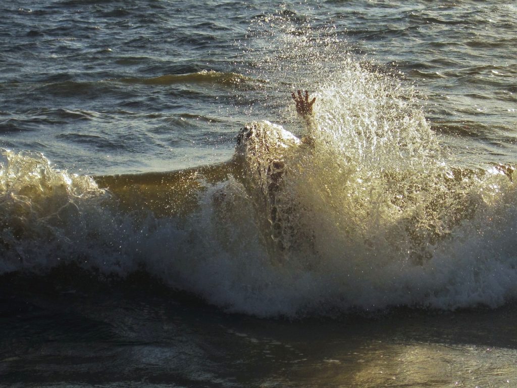 Obludy, podobné humrům, velrybám a hadům. Copak asi moře vyvrhne na pláž příště? Foto: Pixabay