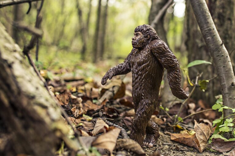 V Británii prý žije tvor podobný bigfootovi, foto Pixabay