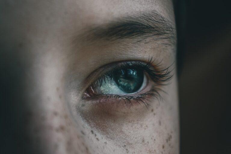 Svatá Ludmila údajně navrátila slepému zrak, foto Pixabay