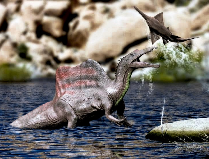 Zjistilo se, že Spinosaurus disponoval hydrodynamickým tvarem těla. Foto: Monsieur X / Creative Commons / CC-BY-SA-4.0 