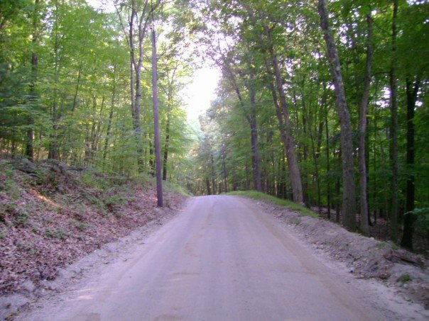 Melounové hlavy se objevují podél lesních cest zejména v Connecticutu. FOTO: 2112guy, Public domain, via Wikimedia Commons
