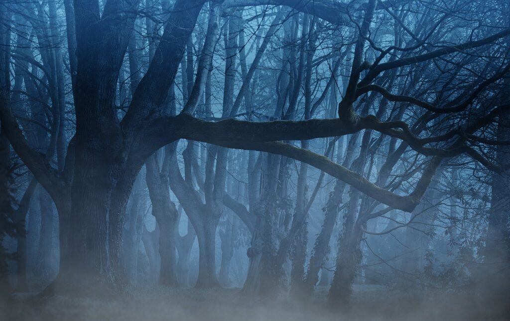 Strašidelný les je dějištěm mnoha paranormálních jevů, foto Pixabay