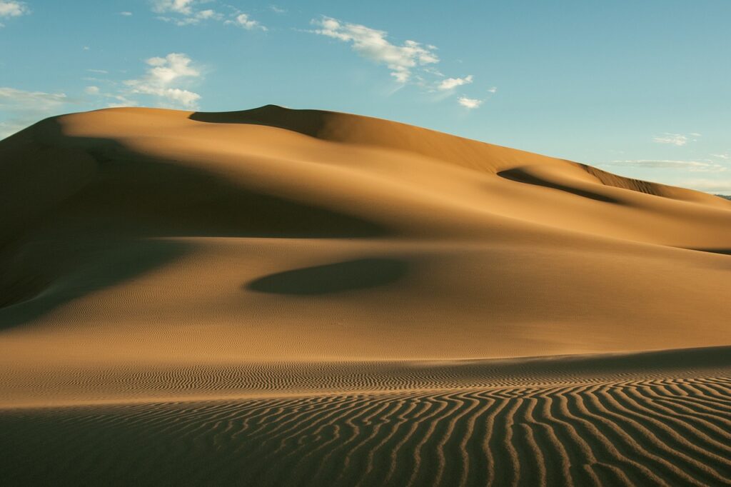 Jeden z podivuhodných otisků vydá i poušť Gobi . Foto: Pixabay 