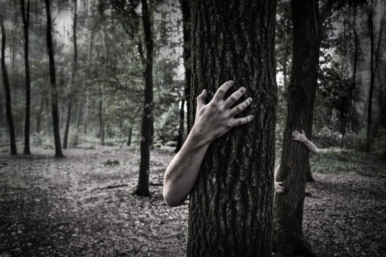Členové skupiny se rozutekli do okolních lesů, kde postupně zemřeli - oficiálně na podchlazení. FOTO: Pixabay