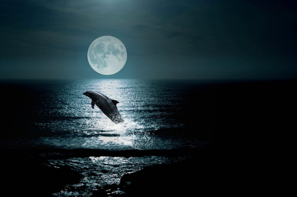 Nález asi tisícovky uhynulých delfínů budí otázky FOTO: Pixabay