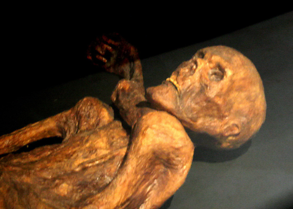 V době nálezu vážila Ötziho mumie 13,75 kg.  Foto: 120 / Creative Commons / CC BY-SA 3.0 