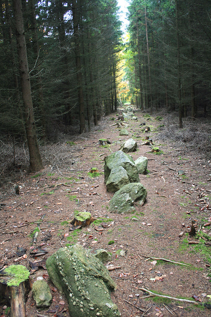 Kamenné řady obklopuje lesní porost. Zdroj foto  Karelj, Public domain, via Wikimedia Commons