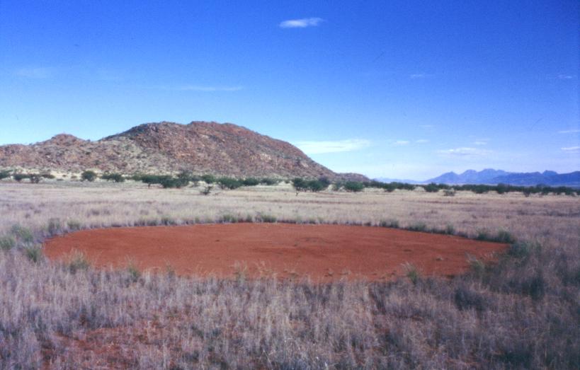 Většina kruhů je malá, objevují se však i takto obrovské. Tenhle se nachází v Namibii. FOTO: Thorsten Becker (= Beavis729, Beavis729), CC BY-SA 2.0 DE, via Wikimedia Commons