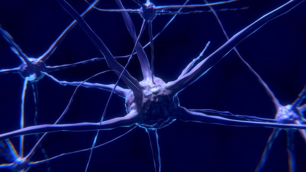 V jeho mozku podle lékaře došlo k přepojení cest, foto Pixabay