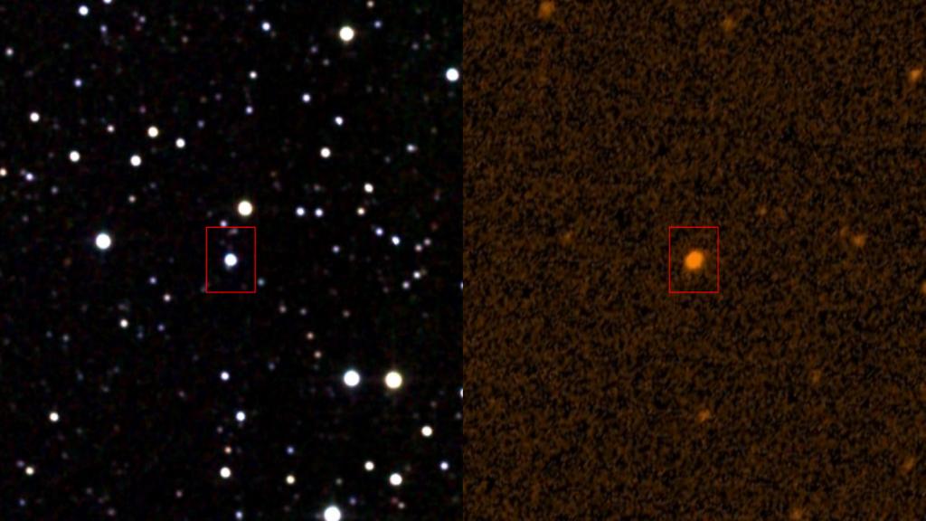 Tabbyina hvězda na infračerveném a ultrafialovém snímku. Zdroj foto: Infrared: IPAC/NASA  Ultraviolet: STScI (NASA), Public domain, via Wikimedia Commons