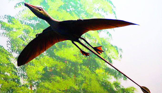 Pterosaur byl velký ještě s křídly, který byl schopný letu