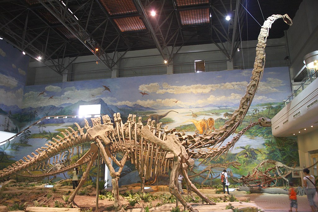 Dinosauří čeleď sauropodů je prezentována v mnoha muzeích. Zdroj foto:  Bernard Gagnon, CC BY-SA 4.0 , via Wikimedia Commons