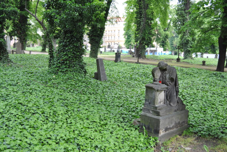 Malostranský hřbitov je krásným a tajemným místem. FOTO: Petr Koutský