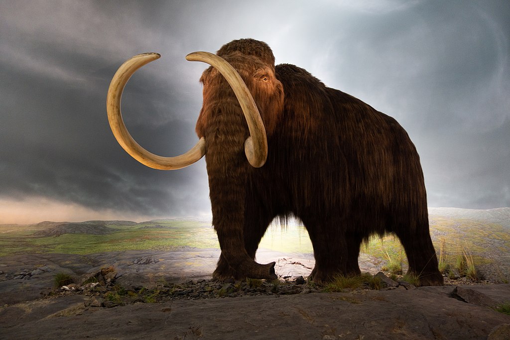 Byla na vrcholu Štandlu past na mamuty? Zdroj obrázku:  Thomas Quine, CC BY 2.0 , via Wikimedia Commons

