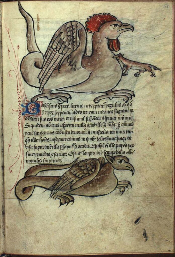 Helwing ve svých knihách popisuje podobné tvory, jako středověké bestiáře. FOTO: neznámý autor / Creative Commons / volné dílo 