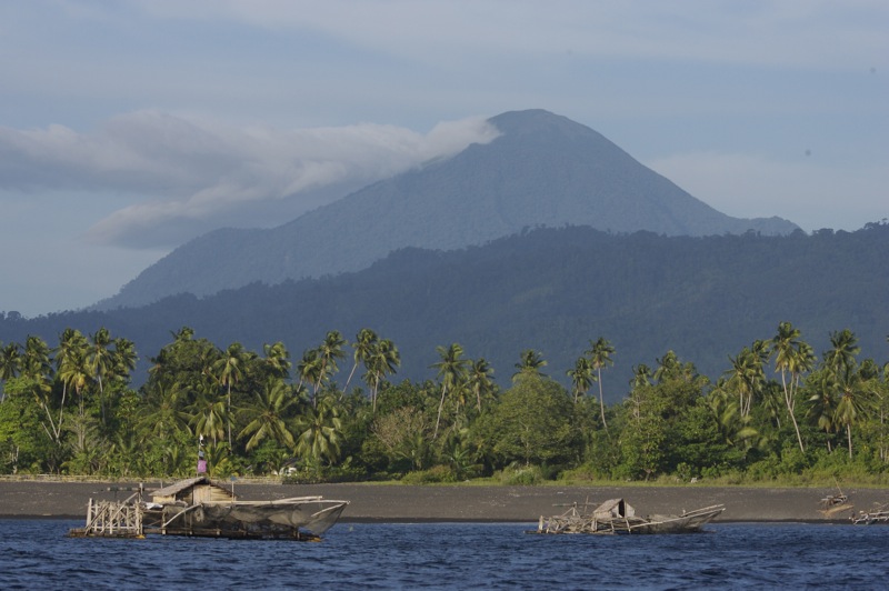 Hora Tongkoko na Sulawesi. Foto: Lip Kee Yap/Creative commons/CC BY-SA 2.0