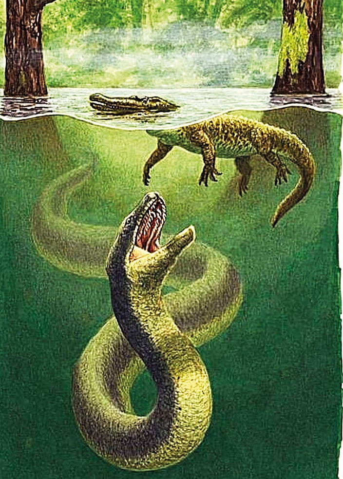 Titanoboa - neobjevený druh velkého hada?